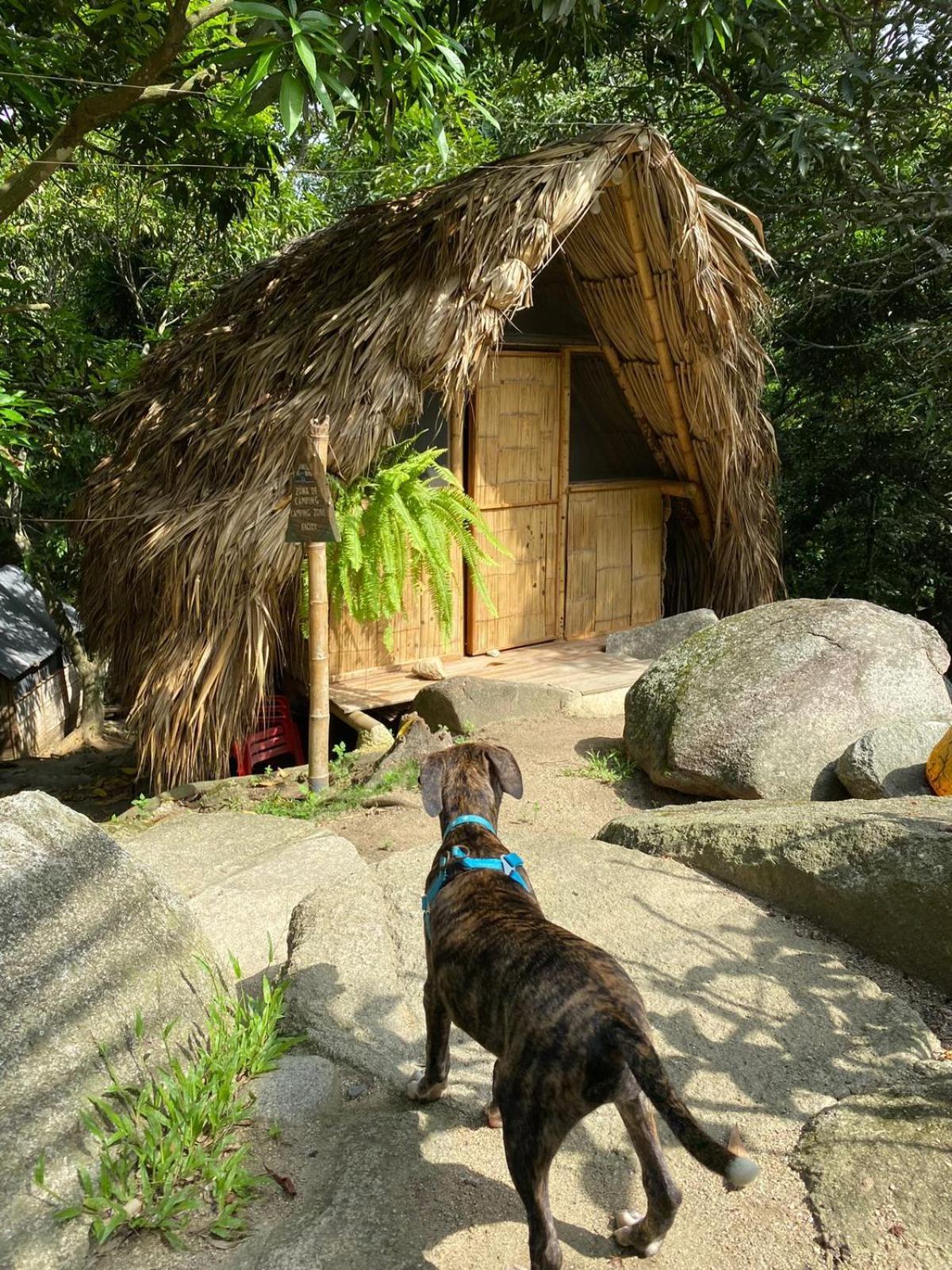Hostal Dos Quebradas Santa Marta  Exterior photo